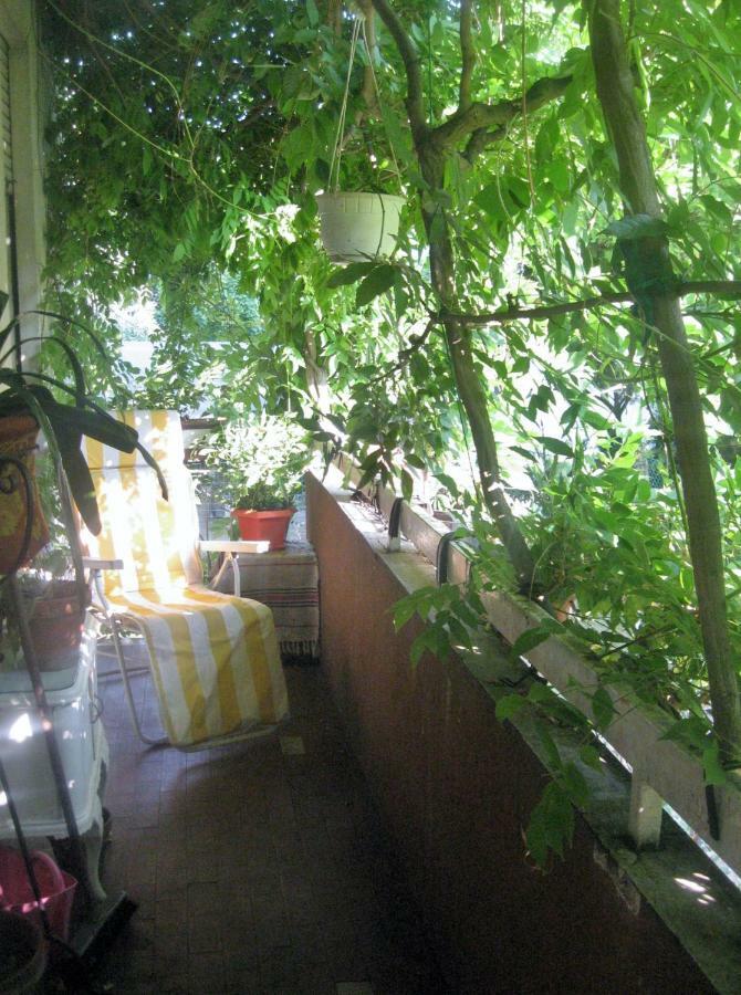 Casa Rebelde *